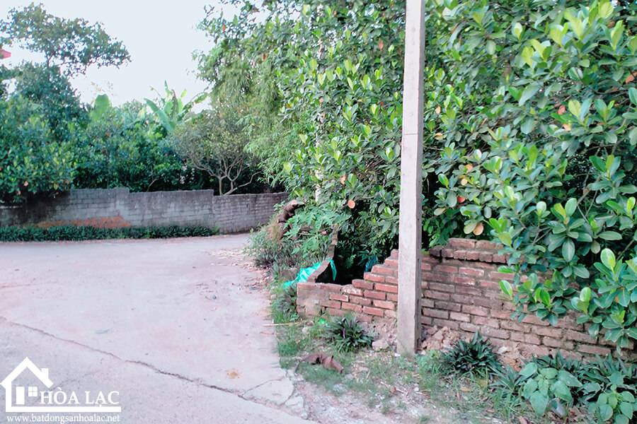 969-tan-an-co-dong (2) 969 tan an co dong 2