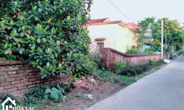 969 tan an co dong 3