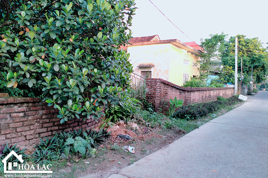 969-tan-an-co-dong (3) 969 tan an co dong 3