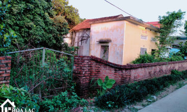 969 tan an co dong 4