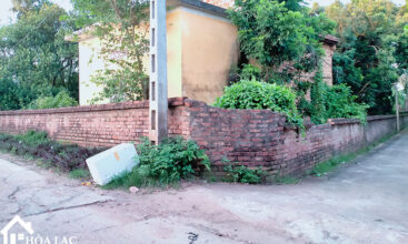 969 tan an co dong 5