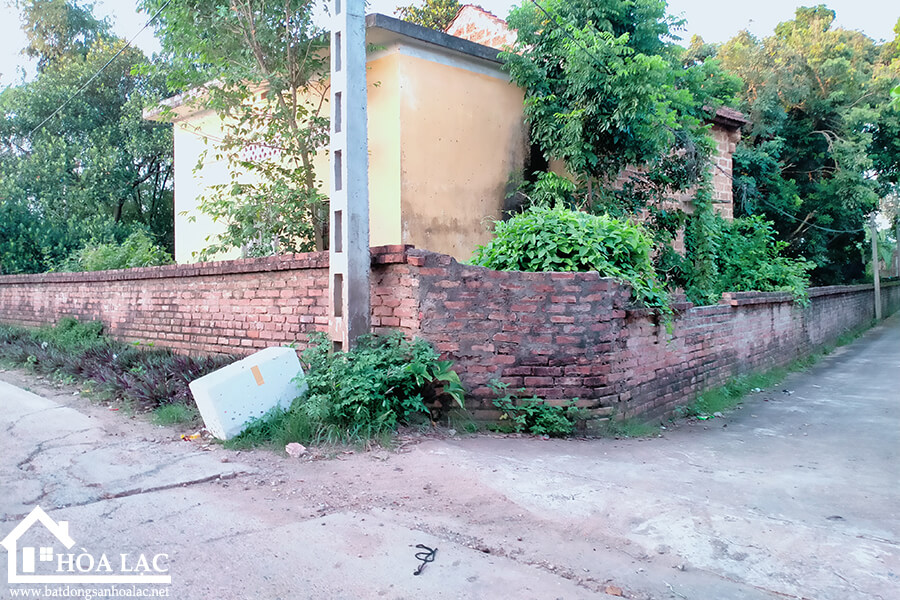 969-tan-an-co-dong (5) 969 tan an co dong 5