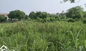 135m hoa lac binh yen 3