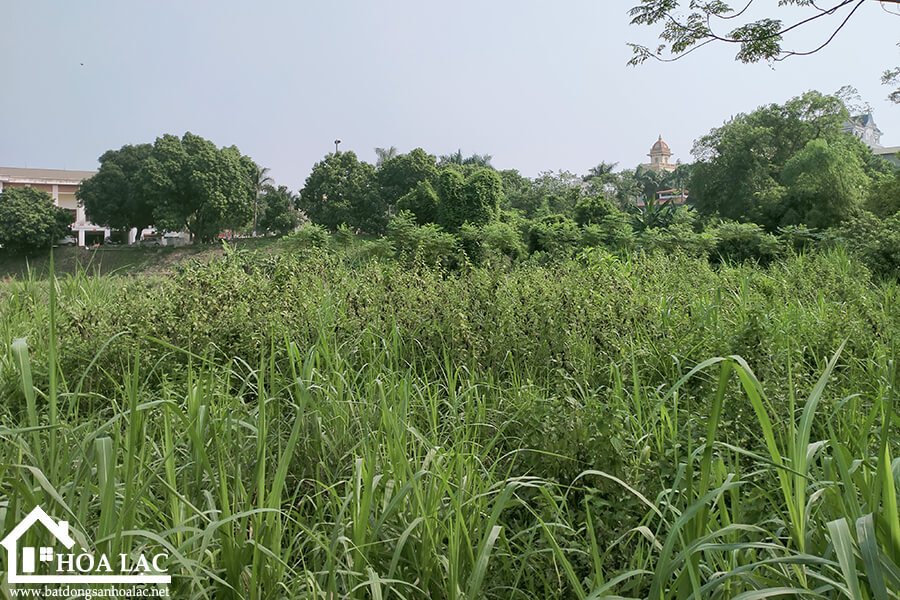 135m-hoa-lac-binh-yen (3) 135m hoa lac binh yen 3