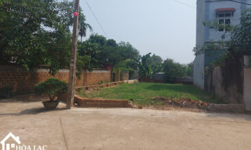 190m2 sen tri binh yen 1