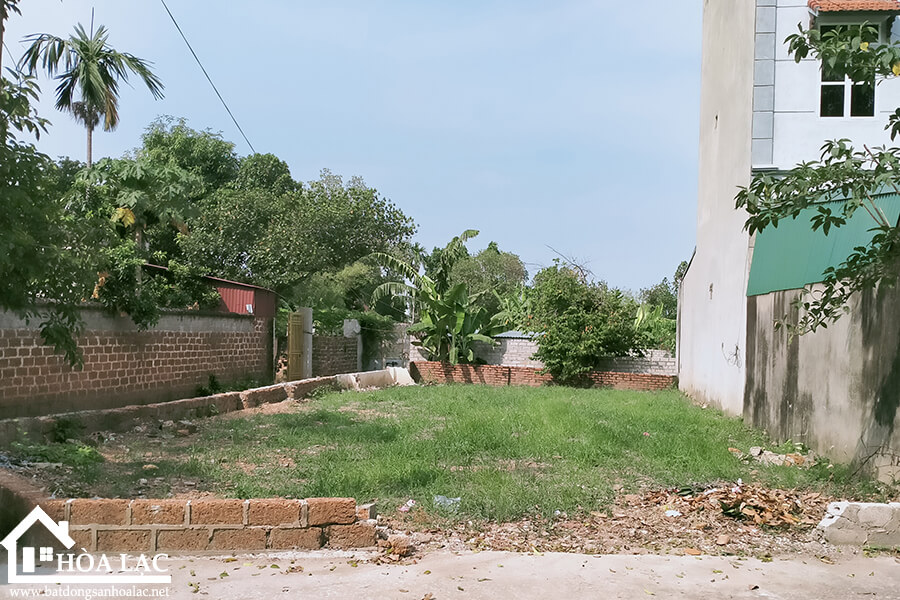 190m2-sen-tri-binh-yen (2) 190m2 sen tri binh yen 2