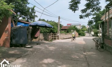 190m2 sen tri binh yen 3