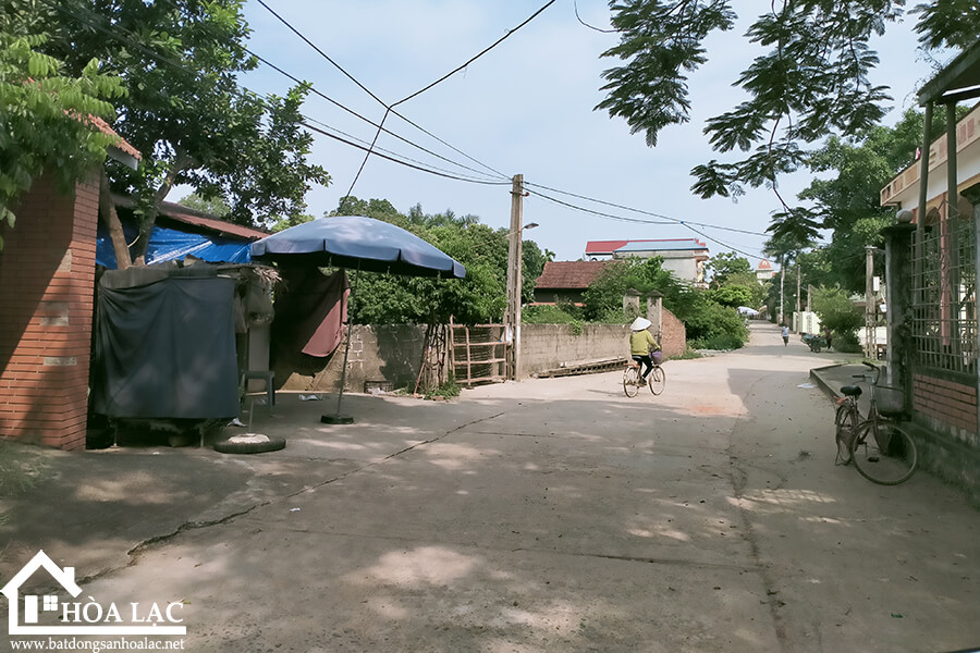 190m2-sen-tri-binh-yen (3) 190m2 sen tri binh yen 3