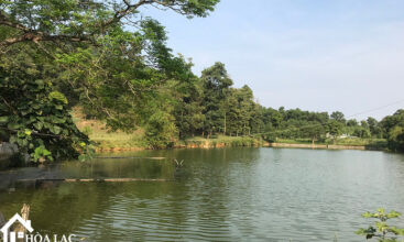 2500m2 xom chua tien xuan 3