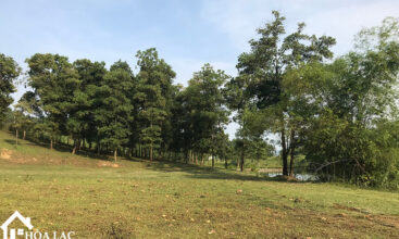 2500m2 xom chua tien xuan 6