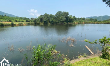 2592 co dung tien xuan 2