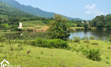 2592 co dung tien xuan 3