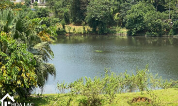 2592 co dung tien xuan 5