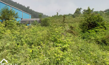 328m bai dai tien xuan 1