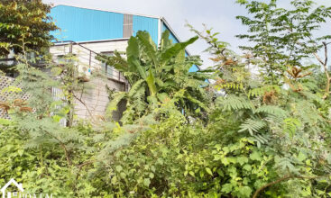 328m bai dai tien xuan 3