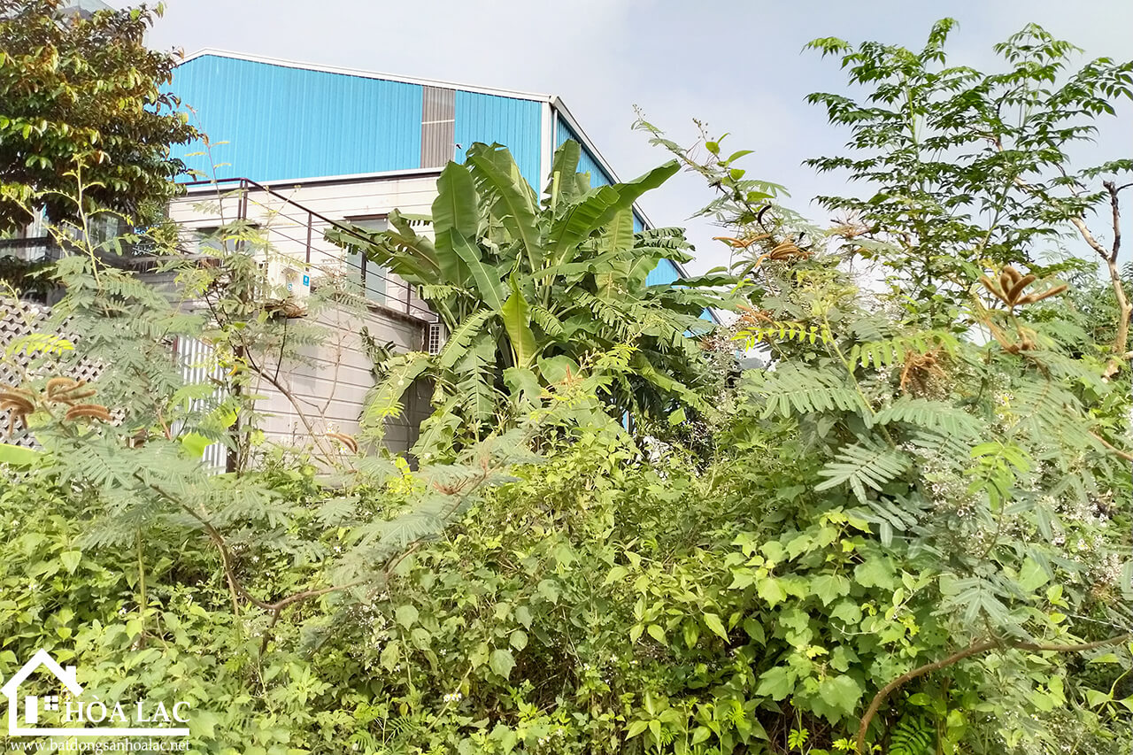 328m-bai-dai-tien-xuan (3) 328m bai dai tien xuan 3