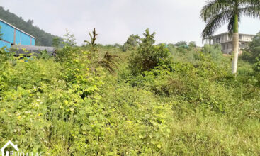 328m bai dai tien xuan 4