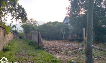 568 binh son tien xuan 1