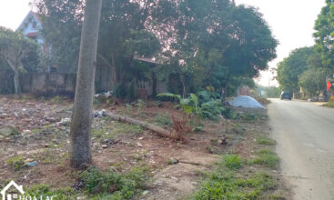 568 binh son tien xuan 4