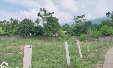 720m2 thon thuong yen binh 3