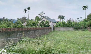 720m2 thon thuong yen binh 4