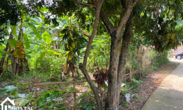 900m2 go me tien xuan 3