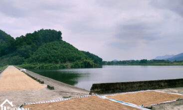 826 xom dinh yen binh 3