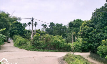 826 xom dinh yen binh 4