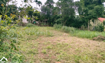 826 xom dinh yen binh 7