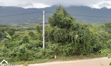 860 thon duc tien xuan 1