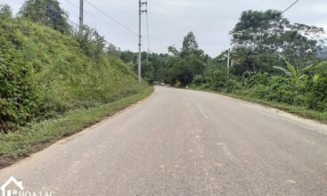 860 thon duc tien xuan 2