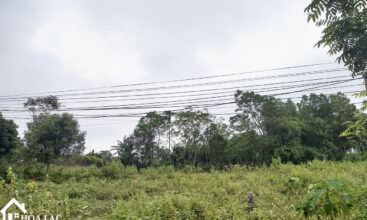 860 thon duc tien xuan 4