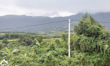 Bán đất Tiến Xuân - 860m2 Mặt đường 446 view cánh đồng và ngọn núi