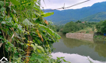 Tiến Xuân - 1136m2 thôn Cố Đụng, bám hồ điều hòa, view xa xa dãy núi