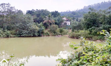 3040m2 thon mit yen bai 2