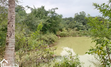 3040m2 thon mit yen bai 3