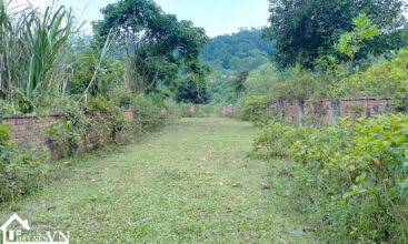 3040m2 thon mit yen bai 4