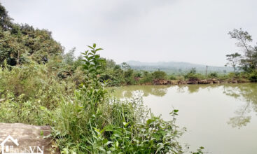 3040m2 thon mit yen bai 5