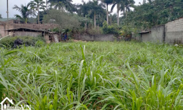 372m2 thon rua van hoa ba vi 2