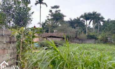 372m2 thon rua van hoa ba vi 3