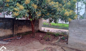 218 tan phuc son dong 1