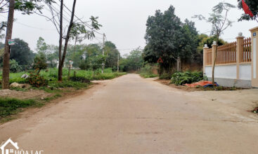 218 tan phuc son dong 3