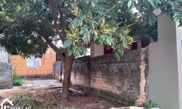 218 tan phuc son dong 4