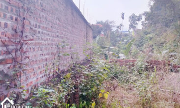 247 go me tien xuan 1