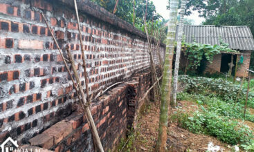 247 go me tien xuan 2