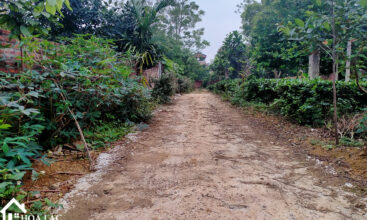 247 go me tien xuan 4