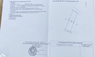 247 go me tien xuan 5