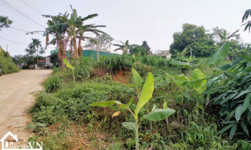 360 thon bai van hoa 2