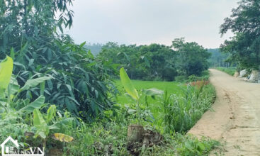 360 thon bai van hoa 4