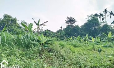 360 thon bai van hoa 5